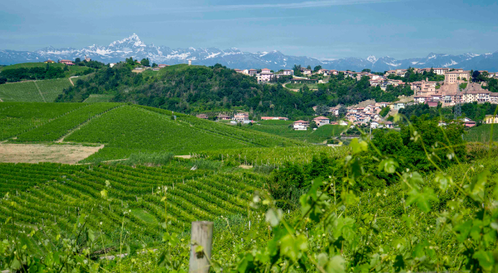 Piedmont region