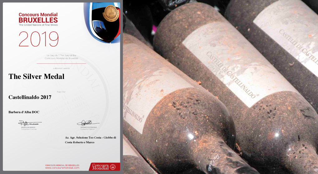 Silver Medal Teo Costa wine