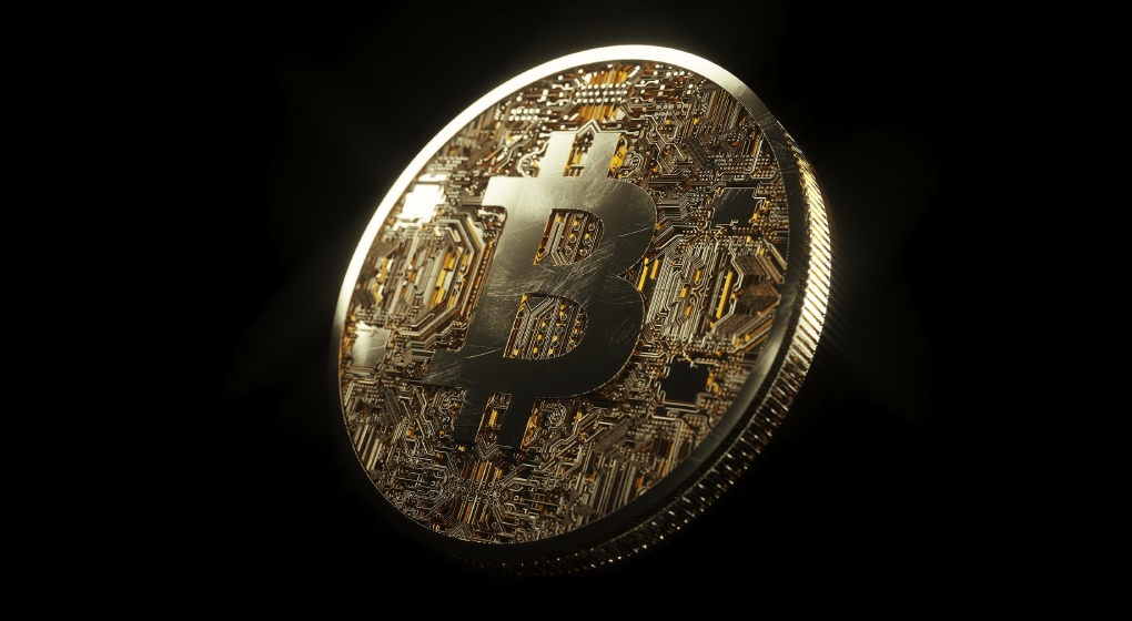 Bitcoin wealth