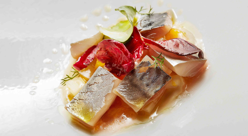 Gourmet fish, restaurant Il Moro | Monza