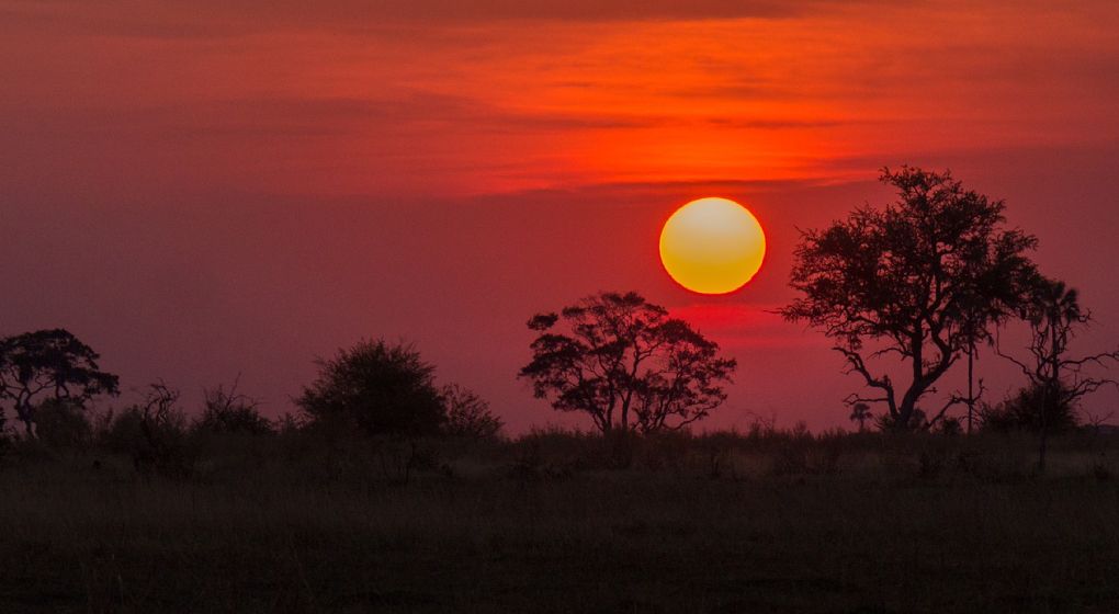 Sunset in Botswana