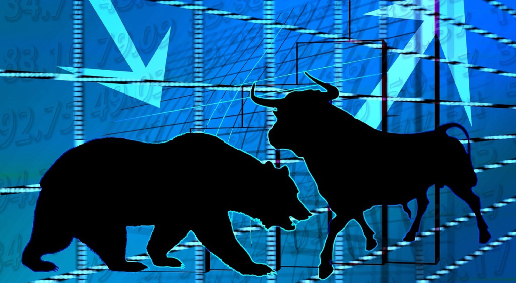 Bull and bear